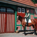 Pferd