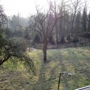 Wohnung 4 - Blick aus dem Fenster in den Garten